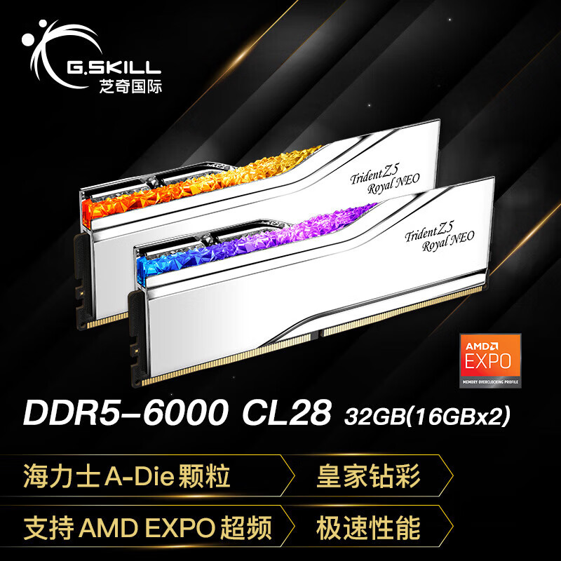 G.SKILL芝奇皇家戟 芝奇（G.SKILL）32GB(16Gx2)套装 DDR5 6000频率 台式机内存条-戟EXPO版RGB灯条-银色/ 6000MHz