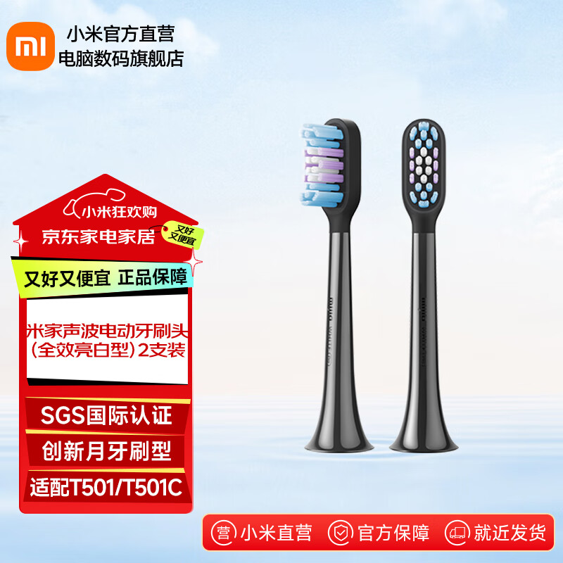 �׼�С�� �����綯��ˢͷ T501 ȫЧ������ 2֧װ ��ɫ