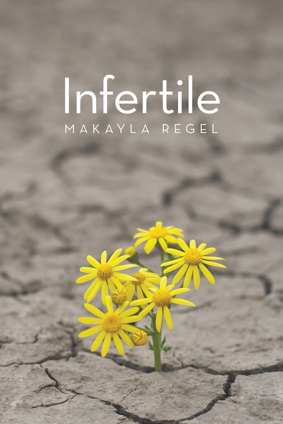 【预售 按需印刷】infertile