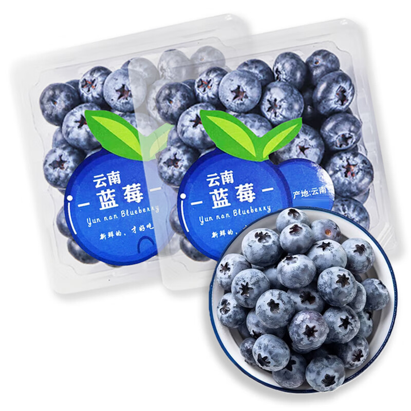 陇百味云南蓝莓高山脆甜花香蓝莓鲜果 新鲜现摘应季热带时令水果 当季现摘4盒实惠装 每盒净重100g 精品特惠中果 单果15-18mm