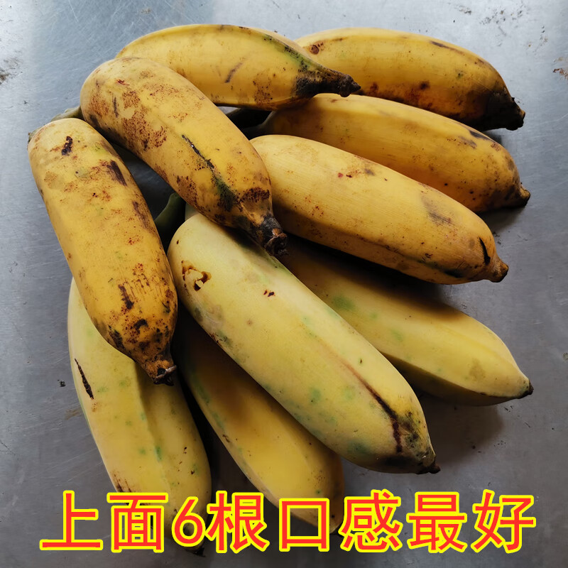 广东粉蕉3-9斤新鲜水果高州香蕉小米焦香蕉丑蕉自然熟食用苹果蕉 5斤