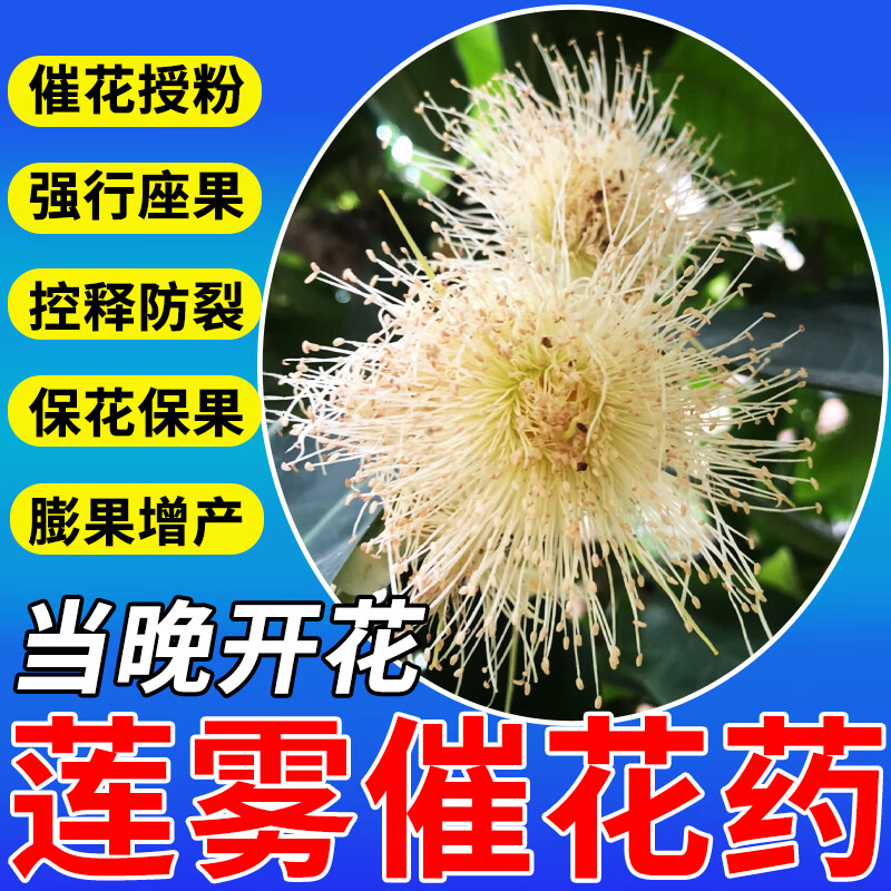 莲雾催花药授粉保花保果坐果灵控梢专用药果树增产防裂果专用肥料 350