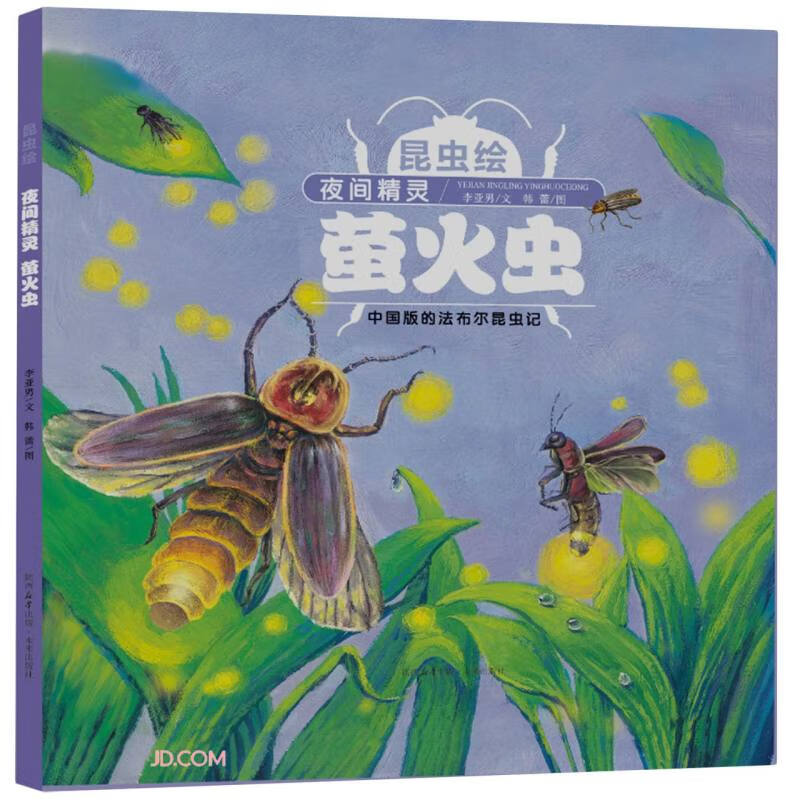 昆虫绘：夜间精灵-萤火虫 中国版的法布尔昆虫记改编精细手绘本 3-6岁