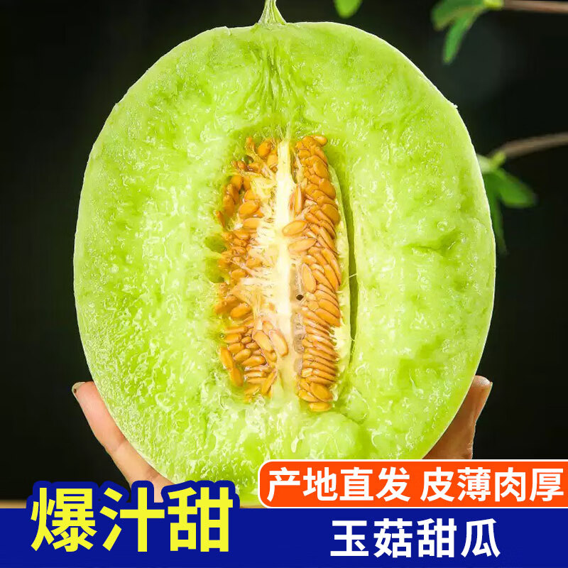 琪江果山东玉菇甜瓜 冰淇淋口感应季新鲜水果整箱 玉菇甜瓜净重4.5-5斤2-3个