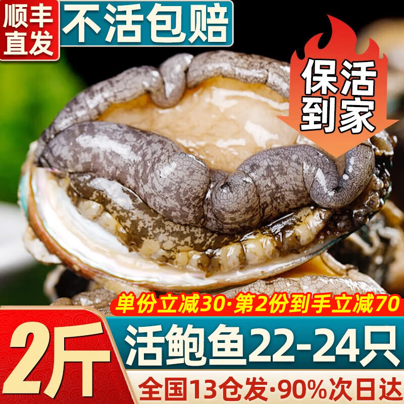首鲜道包活 福建连江鲜活鲍鱼活鲜 生鲜 贝类超大2斤 海鲜其他水产鲜嫩 2斤22-24只包活（大号）178