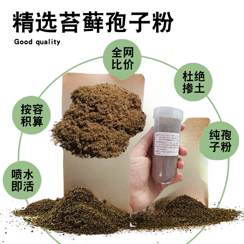 汇种草农苔藓孢子粉四季鲜活青苔绿植短绒吸水石种子微景观盆景造假山草籽 瓶装混合苔藓孢子粉精品约80毫升 精选【21克】包发芽