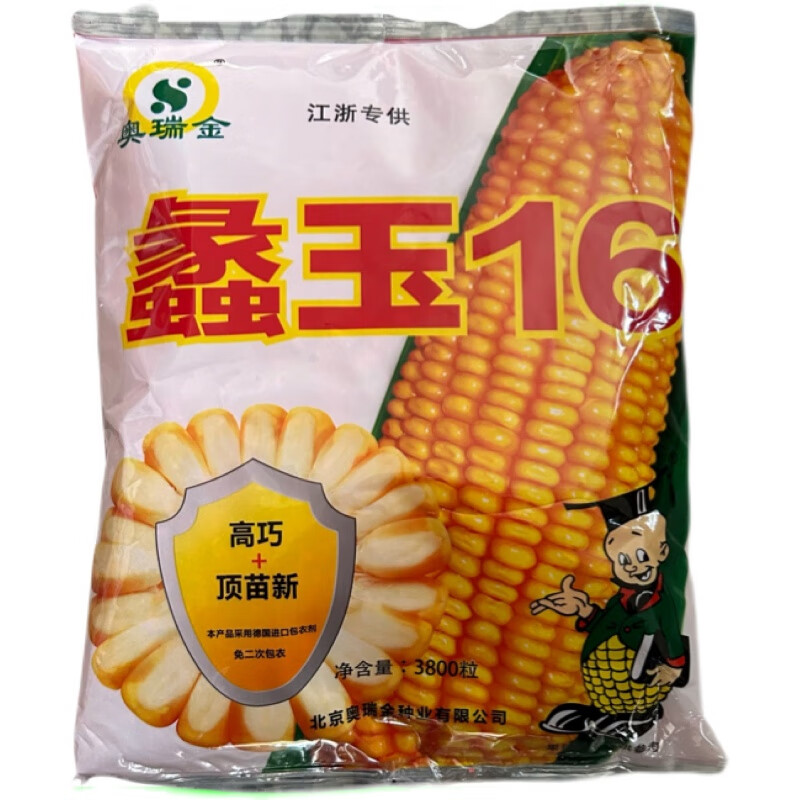 蠡玉16玉米种子原装国审矮秆白轴大棒抗病抗倒稳产稳产大田玉米种 原