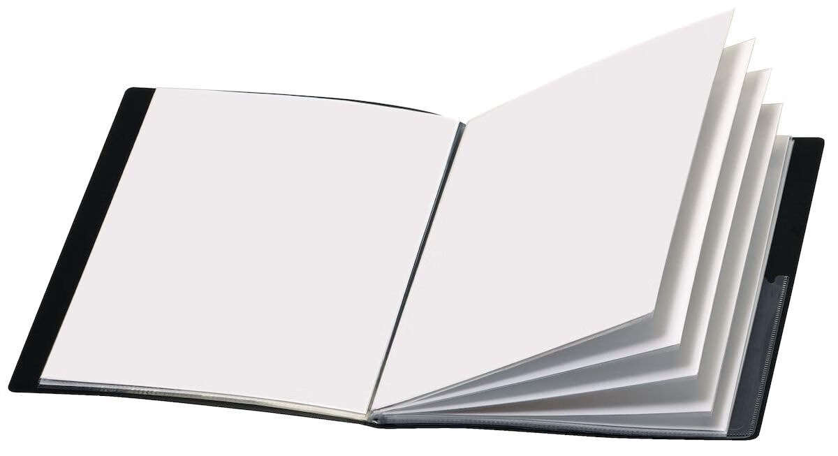 CARDINALCardinal Custom ShowFile 演示书,12 个口袋,可容纳 24 张信纸大小,可定制封面,黑色 (50132CB)