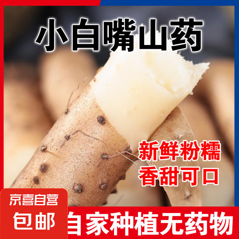 正宗小白嘴山药口感软糯甜糯山药当季山药煲汤煮粥营养必备 白嘴山药2斤带箱 10cm-20cm