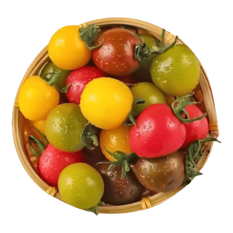 ���ڲ�������ɫ���Ѹ�������ˮ�������߲�������ʥŮ����������������ժ�ַ� ����5�����4.9� 26.5Ԫ