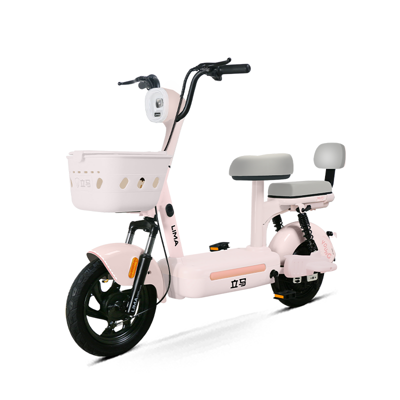 立馬【新款】麥樂時(shí)尚電動(dòng)車 48V12Ah鉛酸電池續(xù)航45KM長續(xù)航 代步電瓶車踏板車 冰透粉