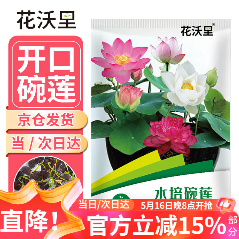 花沃里水培碗莲种子30粒/包不含盆 花卉种子荷花盆家庭庭院阳台碗莲盆栽