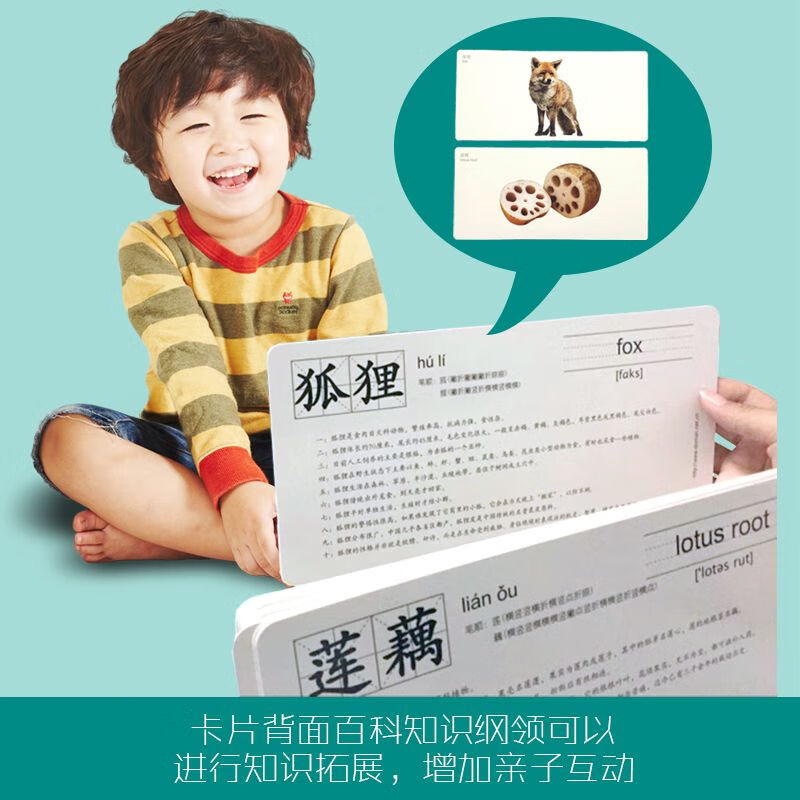 杜曼閃卡百科知識卡智力綱領(lǐng)百科閃卡早教認知卡全腦開(kāi)發(fā)閃卡 百科知識卡