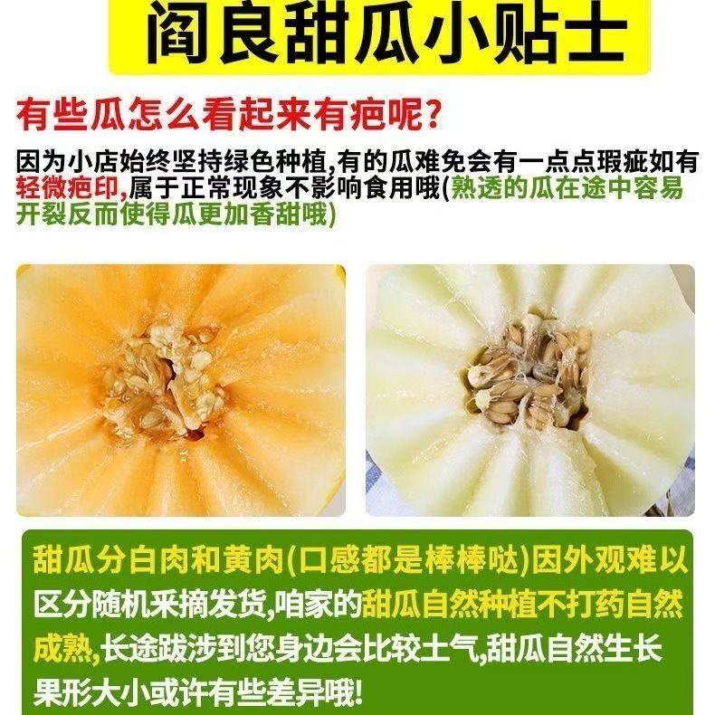沁园秋陕西阎良甜瓜头茬小籽甜瓜香甜爆汁当季现摘新鲜水果 家庭装阎良甜瓜净重4.5-5斤（2-6枚）