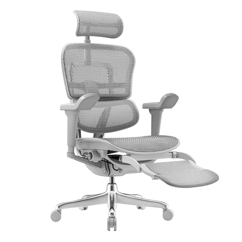 Ergonor ���ѽ��B ���幤ѧ�� ������+���汦1775.13Ԫ����