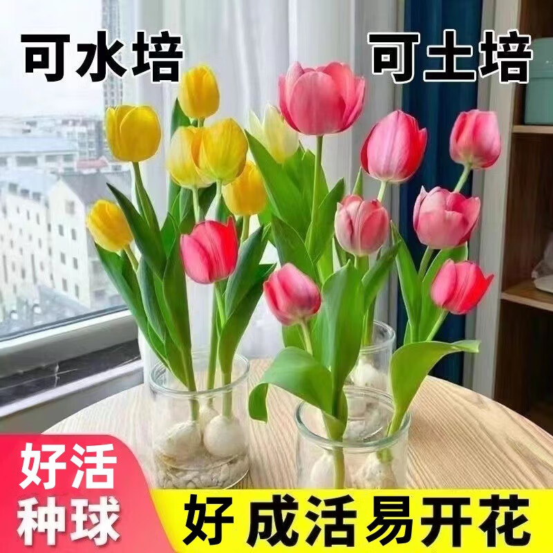 ˮ�������ļ��㿪�����Ի���ֲ�������ֲ���ܴ�ȫ������ ����ѡ��10����ɫ���ͷ���