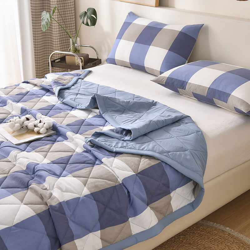 多兰诗（Duolanshi）夏凉被 可机洗小清新空调被宿舍单双人夏天薄被子 蓝大格 150*200cm
