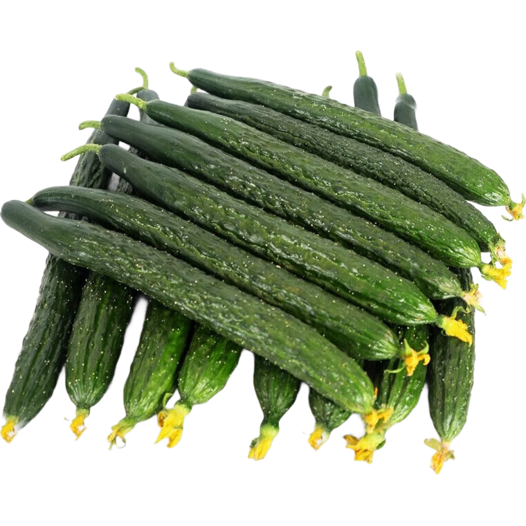 新鲜黄瓜现摘现发新鲜蔬菜生鲜可生吃炒菜非水果黄瓜 净重 2斤 试吃装
