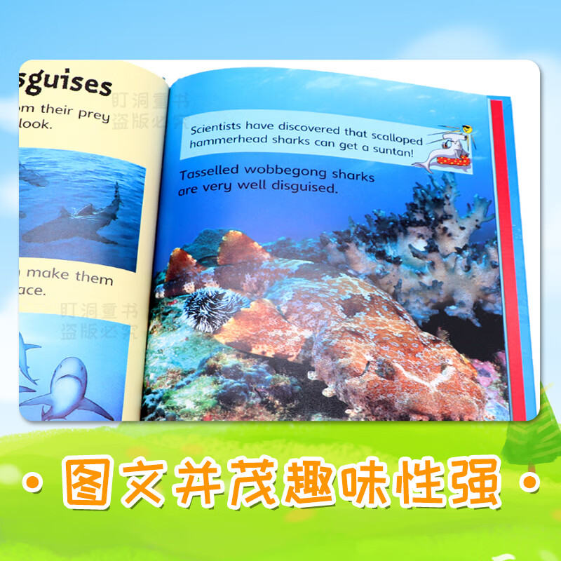 Usborne Beginners 尤斯伯恩初学者 初探系列 自然 动物 儿童科普百科绘本