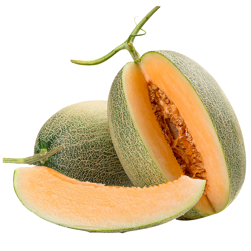 京觅海南哈密瓜西州蜜瓜/西周蜜 1-2个装 整箱净重4.5斤起 源头直发