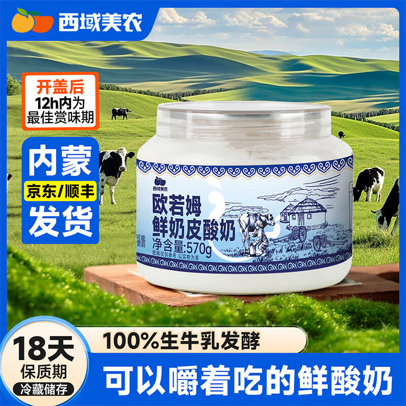 西域美农欧若姆鲜奶皮子酸奶内蒙古特产新鲜风味手工老酸奶 酸奶(奶皮子含量≥25g)570g*2桶