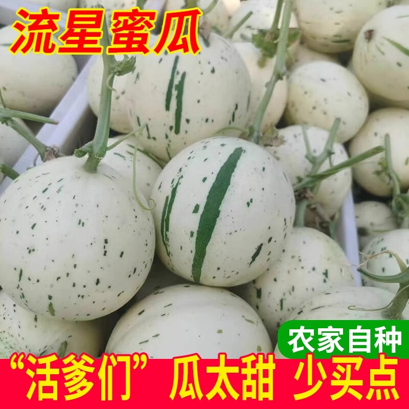 山东时令整箱冰激凌甜瓜月露流星蜜瓜软口梦露蜜露香瓜新鲜厚皮瓜 5斤