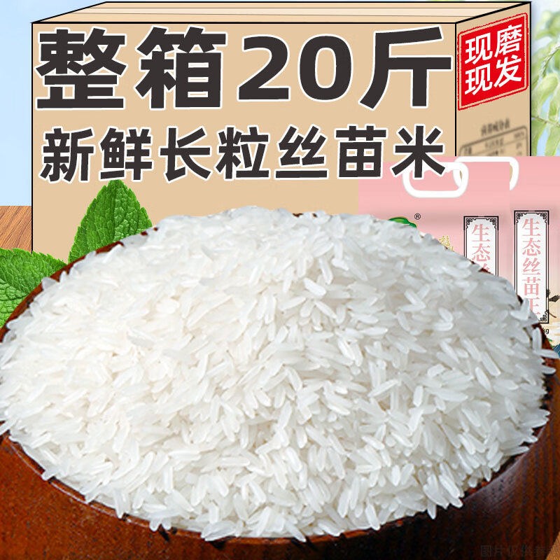 大米丝苗米正宗长粒香米20斤装丝苗米猫牙米当季优质新米主食品 丝苗王500g*1袋
