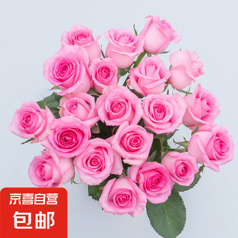 ��õ�廨�����������ؼ������ʻ��������ò�ƿˮ�����������ʻ� ����õ��18+2֦�����