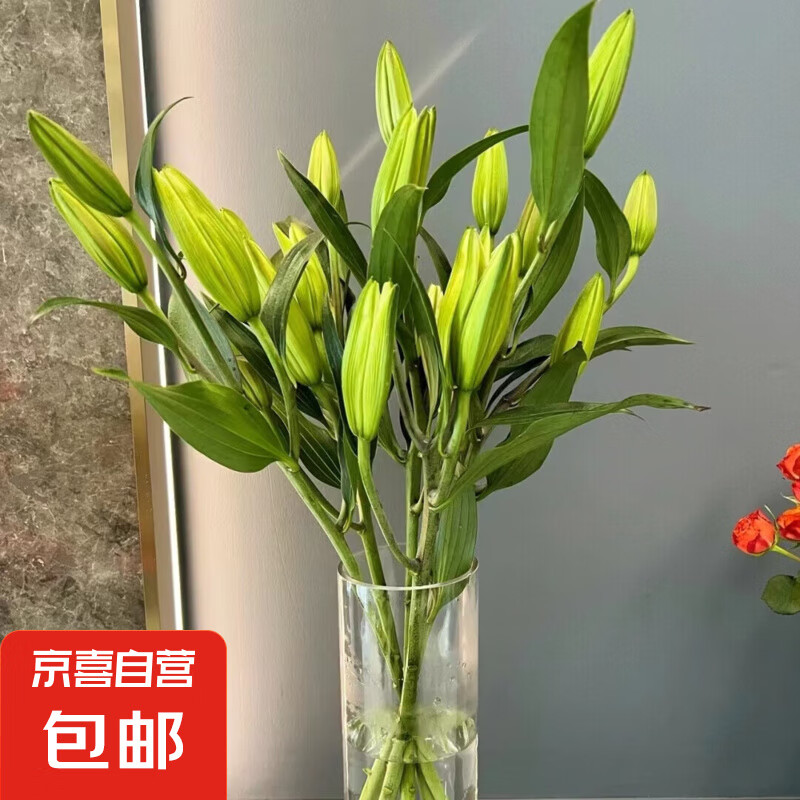 ����ˮ�ٺϡ�����ͬ��Ů��������ʻ�������������ֱ��������л� ����ؼ۰ٺ�9ͷ����ָ��Ʒ�֣���ɫ��