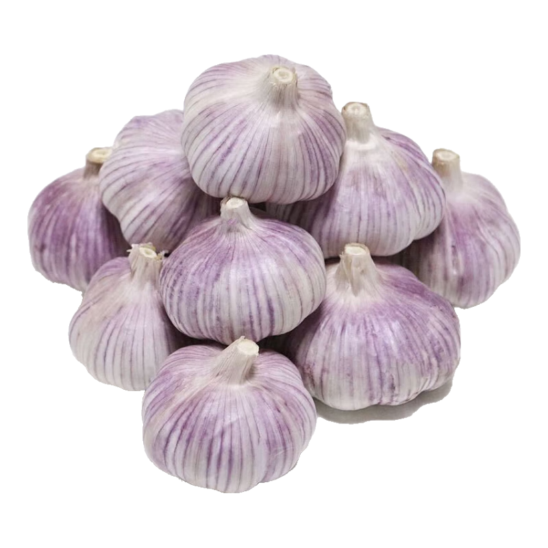 ΢��С�������ʸ��� ˮ������ ��ʳ���� 5ͷװ100g 4cm+ �տ�ʳ��������С��Ϻ 0.74Ԫ(����ȯ�����빺�ﳵ���ٵ�΢��С�����µ�)