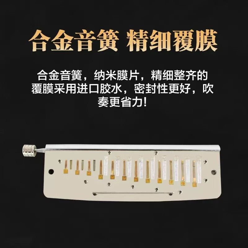 天鵝（SWAN） 飛繁半音階口琴12孔c調(diào)初學(xué)入門(mén)