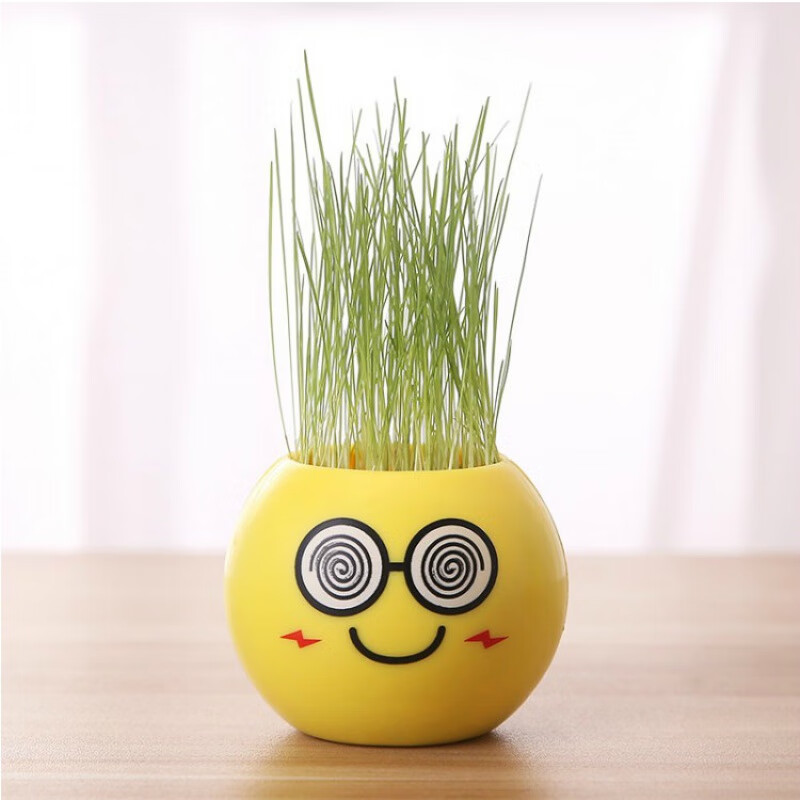 室內(nèi)迷你負(fù)離子小盆栽綠植物帶種子小草桌面水培學(xué)生畢業(yè)獎品禮物 眩暈