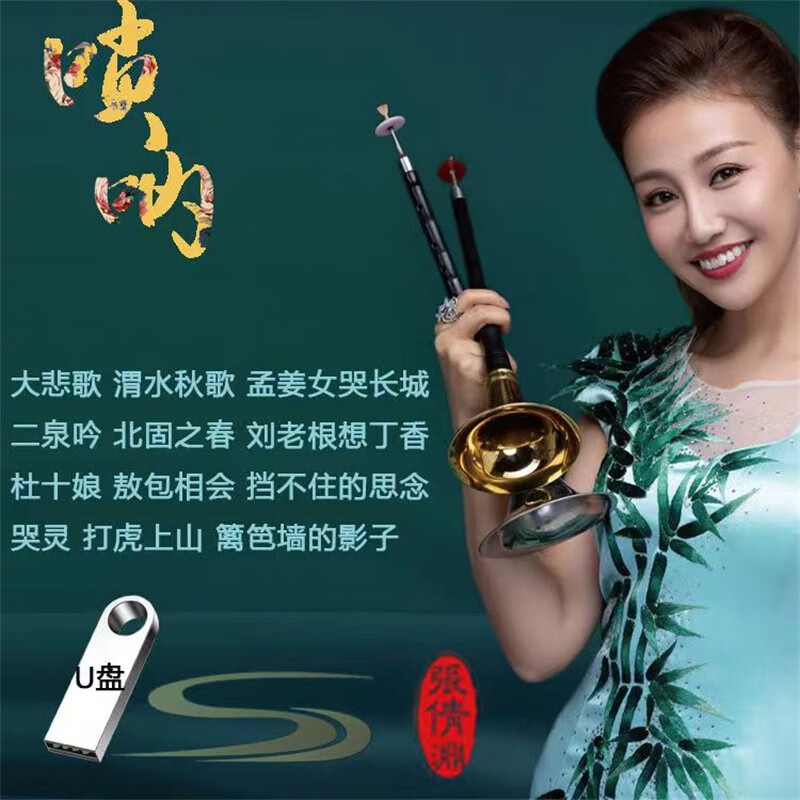 VYOPBC悲歌唢呐音乐U盘MP3张倩渊演奏唢呐纯音乐优盘怀旧唢呐音频内存卡 244首音频   U盘