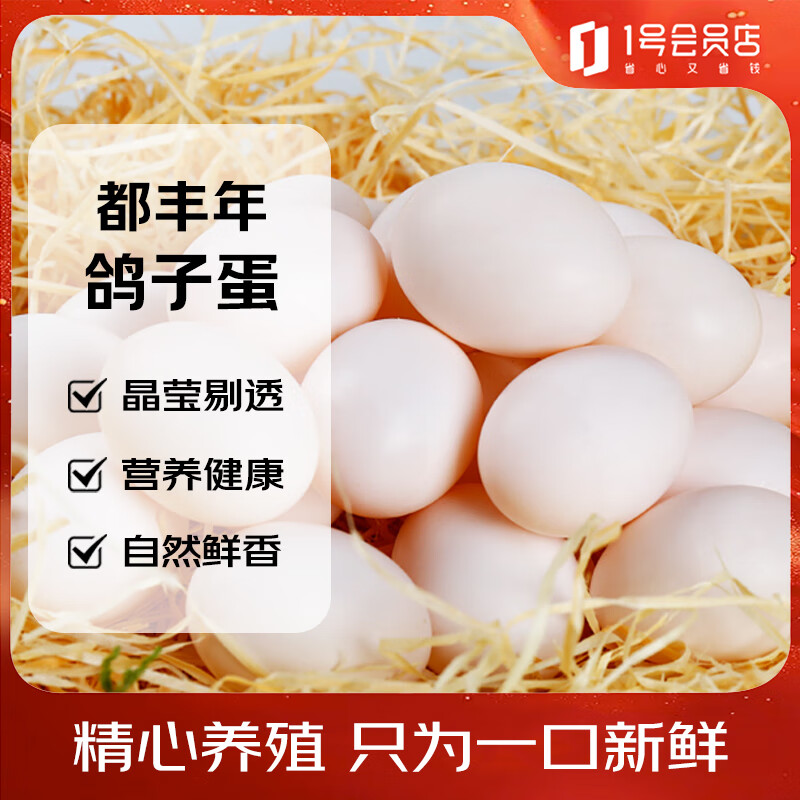 都丰年鸽子蛋20枚共400g 鲜鸽子蛋 源头直发 杂粮喂养 孕妇宝宝放心吃