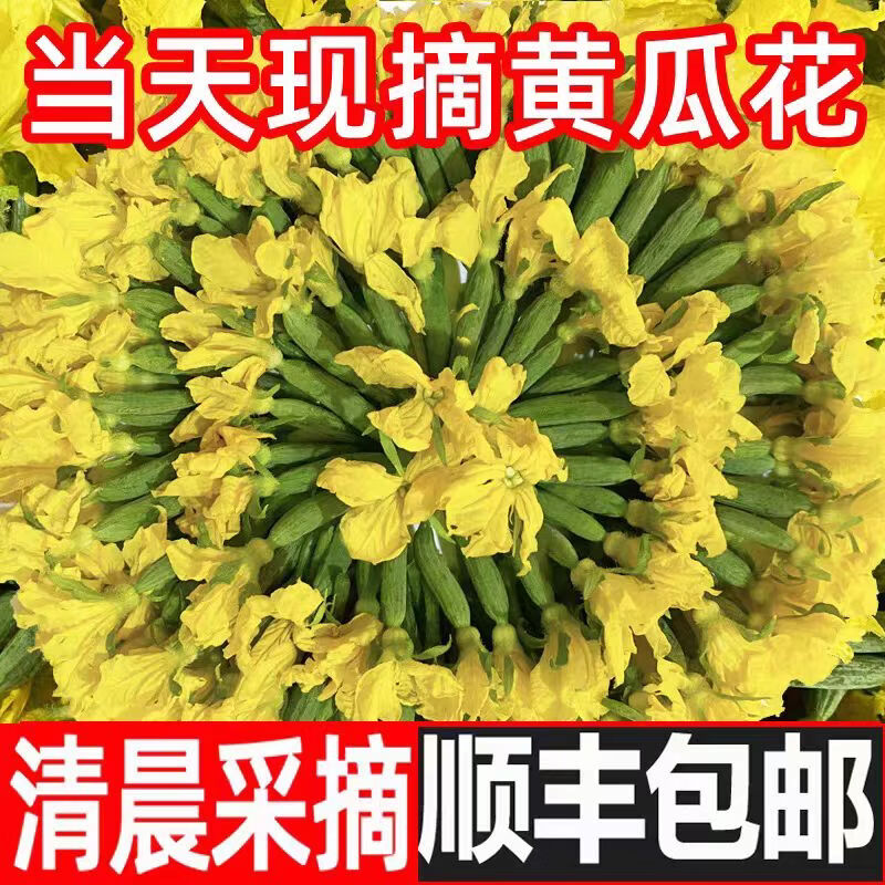 风筝王【顺丰】黄瓜花 新鲜小黄瓜花 青瓜花 特嫩水果黄瓜顶花 黄瓜仔 现摘黄瓜花 3斤