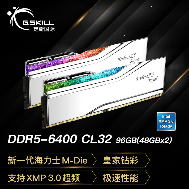 G.SKILL芝奇皇家戟 芝奇（G.SKILL）96GB(48Gx2)套装 DDR5 6400频率 台式机内存条-戟RGB灯条/C32 6400MHz 96GB 2条套条