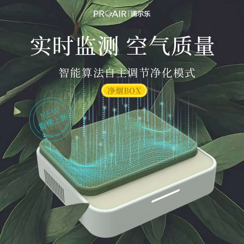 浦尔乐净化BOX桌面车载净化器快速净烟除味去异味臭氧负离子空气净化器吸力等离子礼盒送男友 净烟BOX【桌面绿色锂电池款】