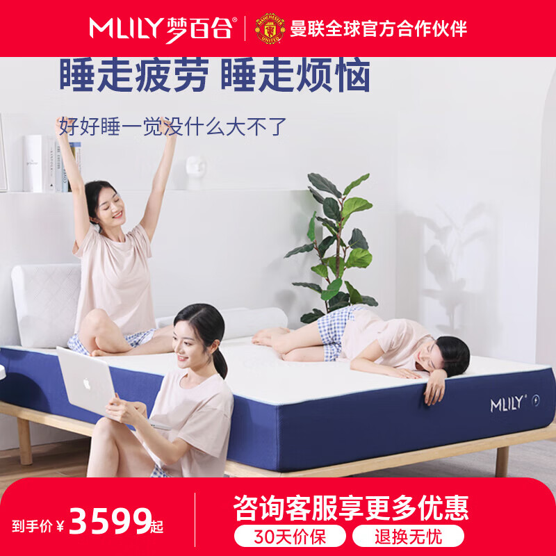 夢(mèng)百合【DR專(zhuān)屬】床墊快充獨袋彈簧記憶棉護脊床墊 家用雙人席夢(mèng)思 1.0 科學(xué)護脊支撐款-23cm 1.5米*2米