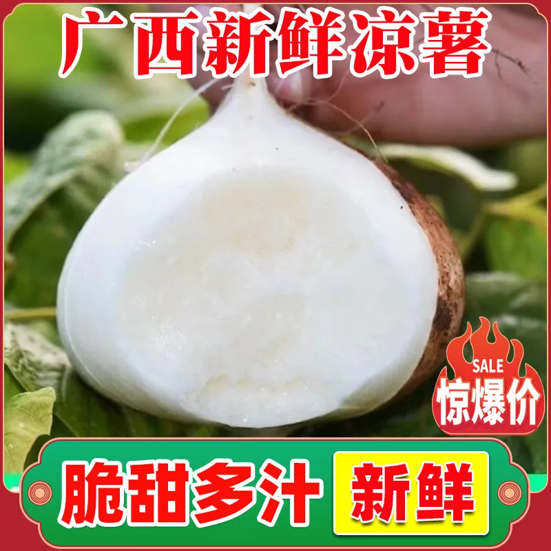 新鲜凉薯广西水果生吃特脆甜地萝卜贵州沙地葛薯白地瓜 整箱9-10斤【大果】