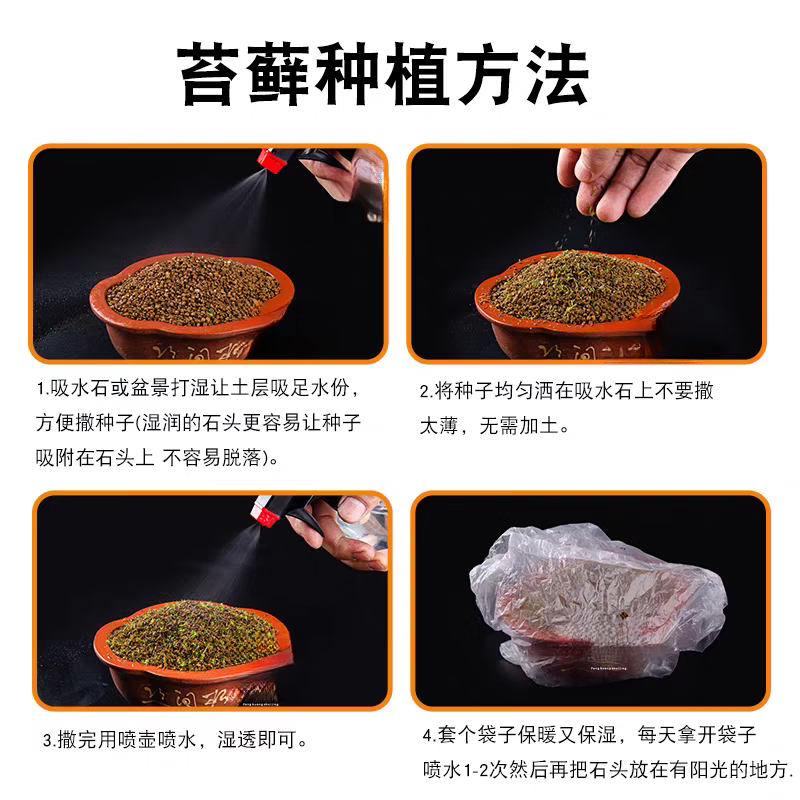 汇种草农苔藓孢子粉四季鲜活青苔绿植短绒吸水石种子微景观盆景造假山草籽 瓶装混合苔藓孢子粉精品约80毫升 精选【21克】包发芽