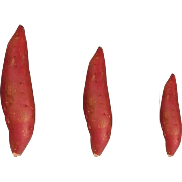 佳农宝菜西瓜红蜜薯建议蒸煮食用单果约80g+净重3斤源头直发