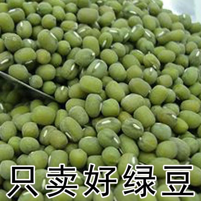 食芳溢5斤毛綠豆老品種農(nóng)家新綠豆熬湯煮八寶粥v好綠豆湯1斤 老品種毛綠豆3斤