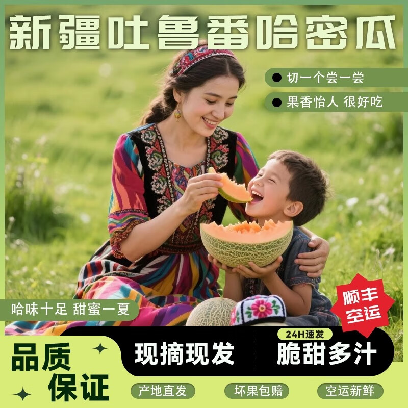 【顺丰快递】正宗新疆哈密瓜甜瓜西周蜜25号网纹瓜整箱新疆直发 【尊享装】8-9斤  2-3枚【顺丰快递】