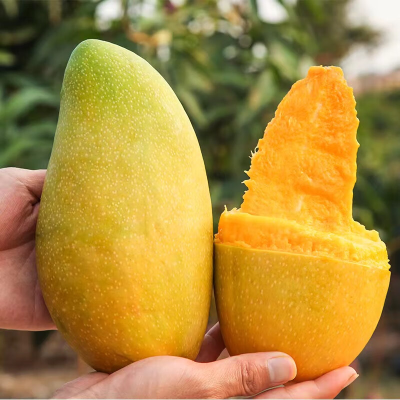 ��������ѡ��ʹ�â����Ƥ������2���ϲ�һ��9�﷢������������ˮ���� ��ѡ���â 4-4.5�� ���ش������Ƥ��