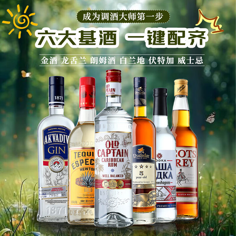 生命之水（Spirytus）原瓶进口伏特加洋酒 威士忌白兰地龙舌兰朗姆酒金酒调酒基酒 调酒基酒组合套装 700mL 6瓶