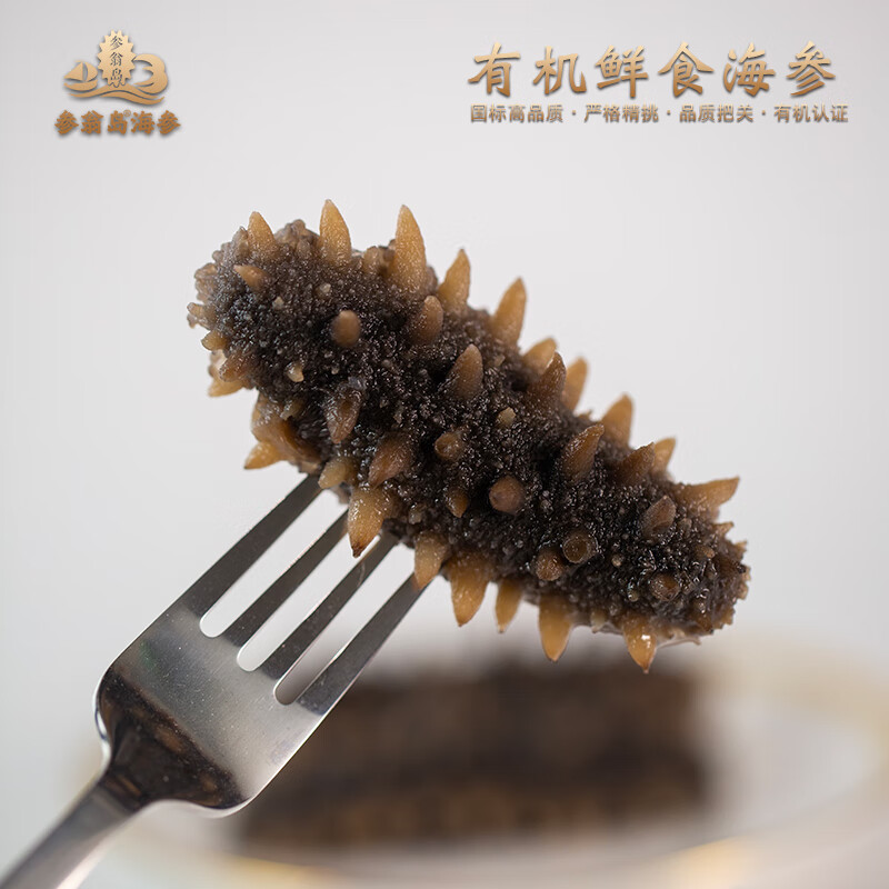 参翁岛【批发促销】有机鲜食大连底播即食海参 新鲜辽刺参 国标有机认证 有机鲜蒸即食海参8斤*1箱64-96头