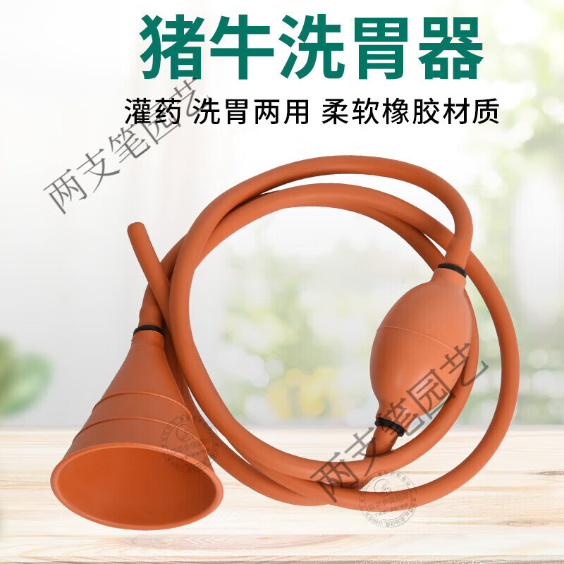 胃管兽用羊专用猪牛胃导管用子宫清洗器洗胃管喂管漏斗洗胃 洗胃器(1支)