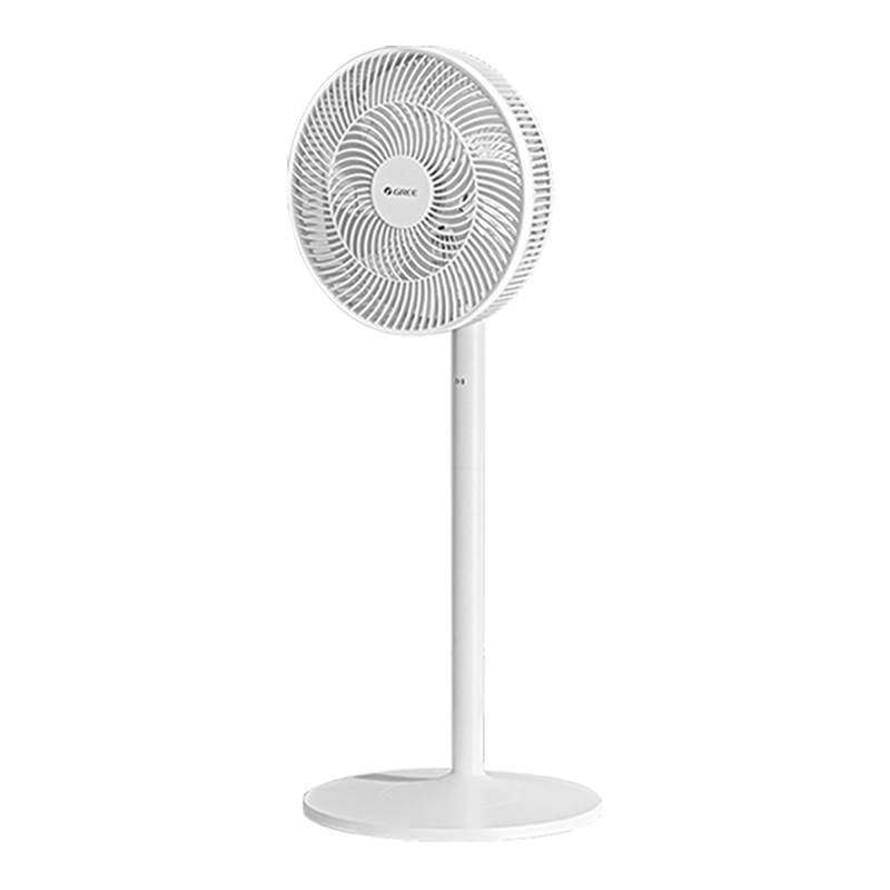 ���� 12��7Ҷ����� ̨������ ���������104.49Ԫ