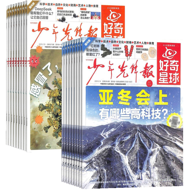 【订阅有礼】好奇星球报纸订阅（国际版+国内版） 2025年1月起订 1年共24期 共48份 （先发“杂志订阅清单”）少年先锋报6-12岁小学生新闻少儿科普百科 杂志铺图书开工开学季