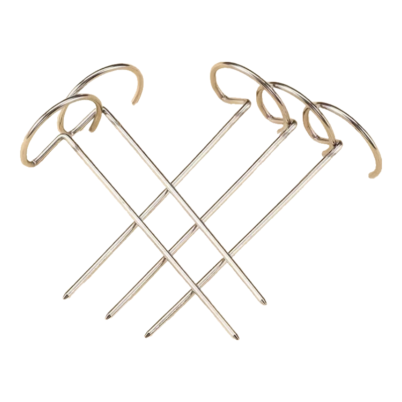 空气炸锅烤架适用美的九阳苏泊尔空气炸锅烤串烤肉网烤盘 立式烧烤针【5根】